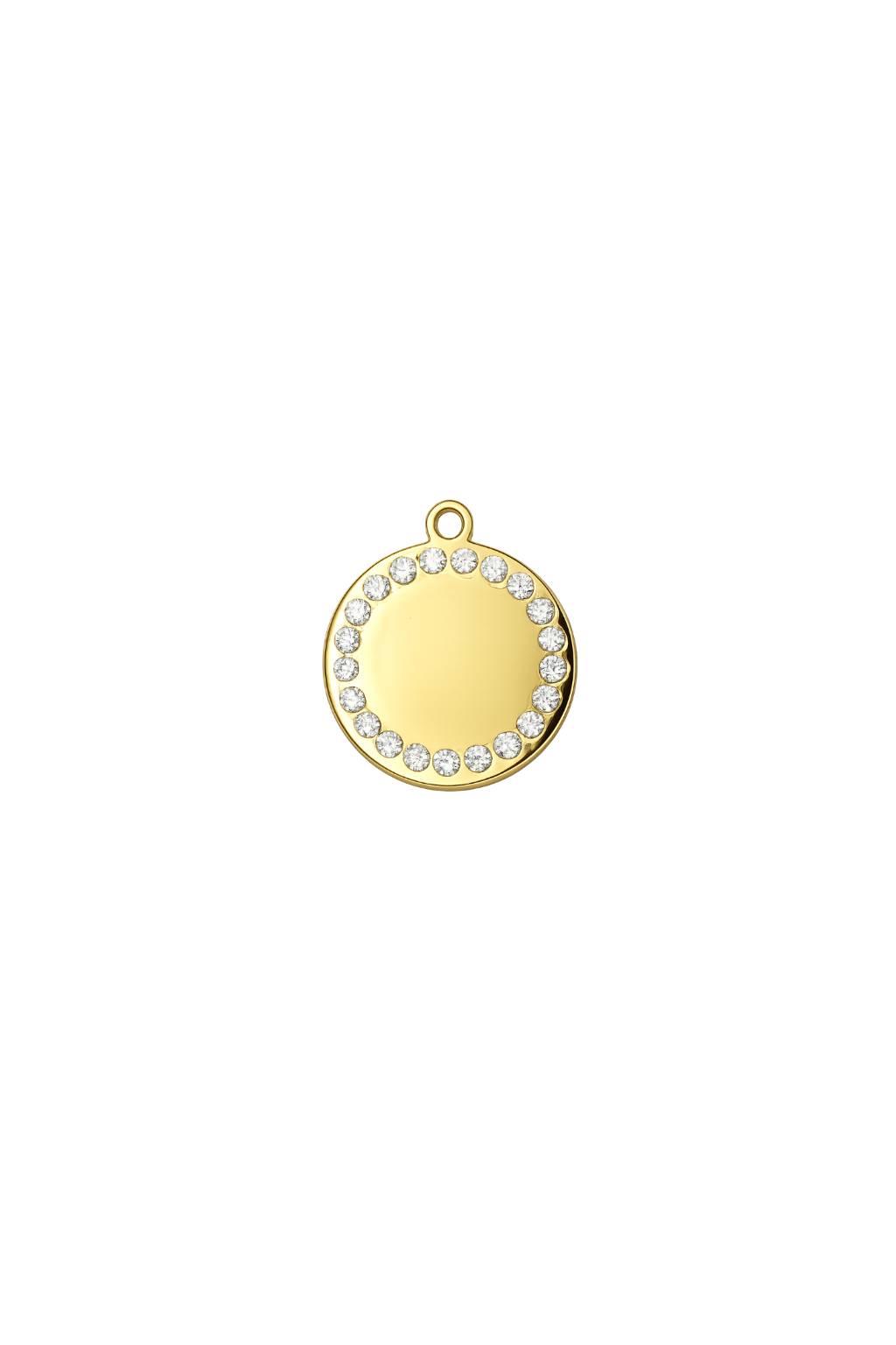 Coin Charm