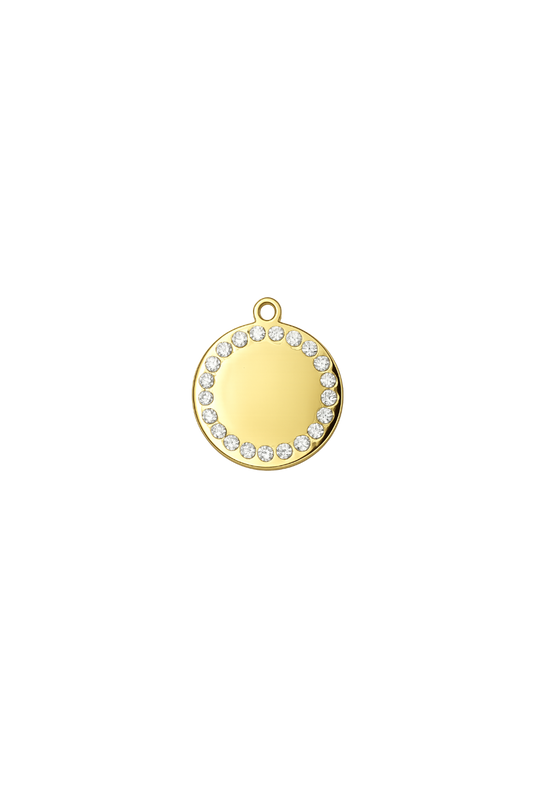 Coin Charm