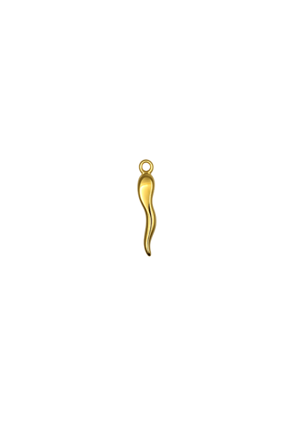 Hot Pepper Charm